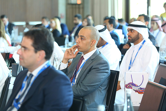 Delegates at Meira's 10th anniversary conference