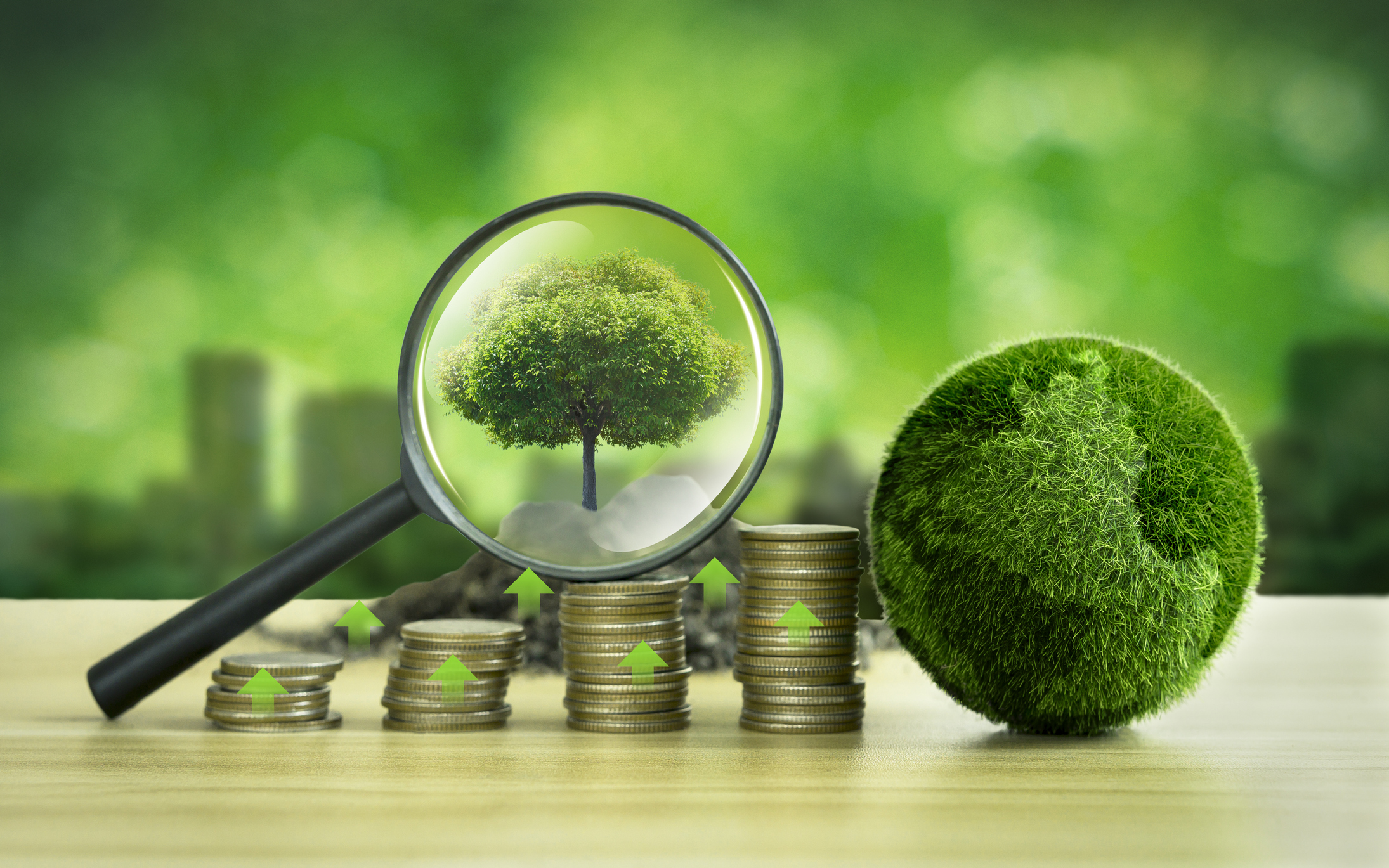 Company ESG claims are coming under increased scrutiny