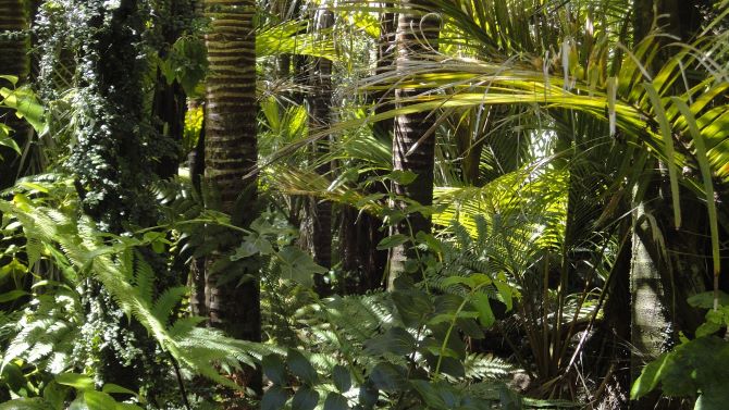 How IR is changing in Brazil as digitization, ESG focus and retail investors gain ground