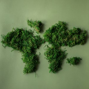 sustainability